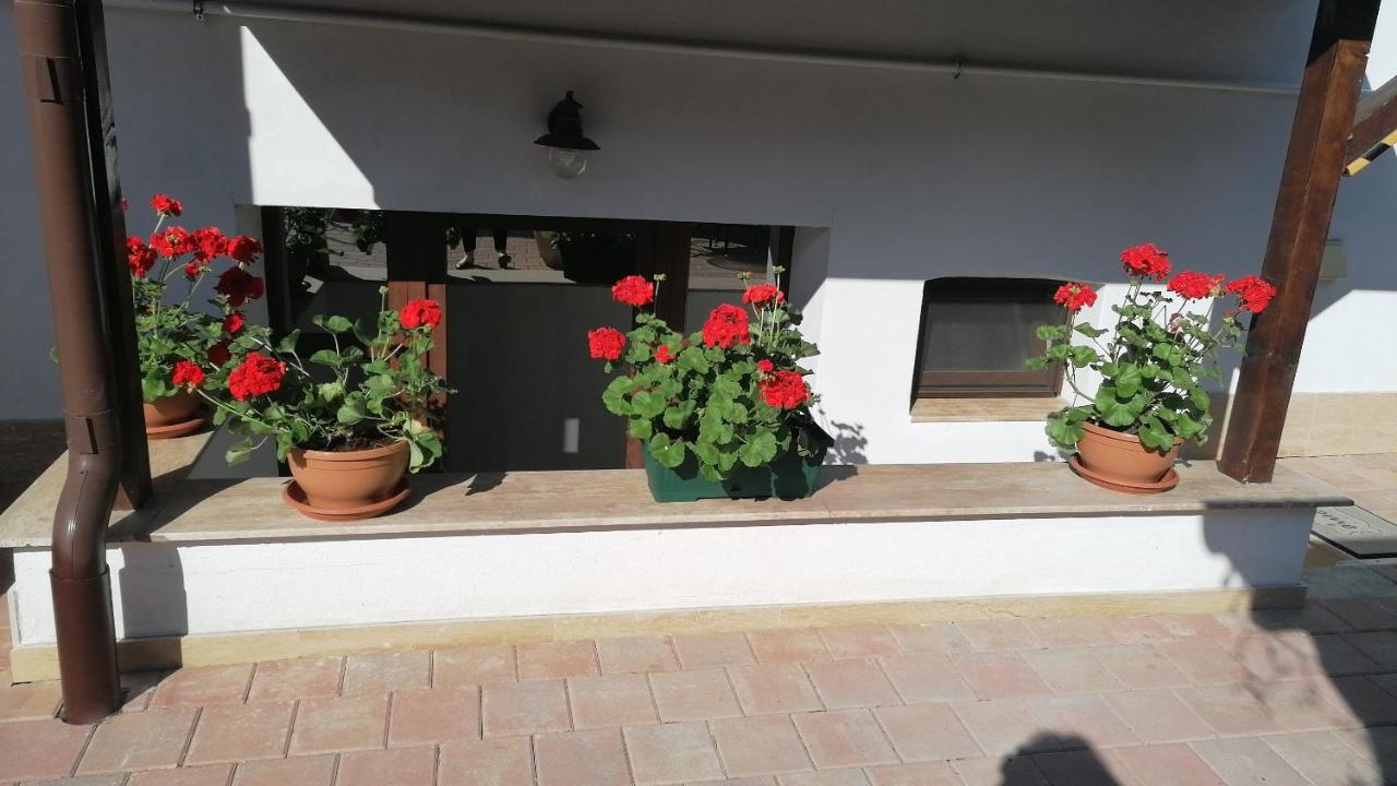 Ana Boutique Bed and Breakfast Alba Iulia Buitenkant foto