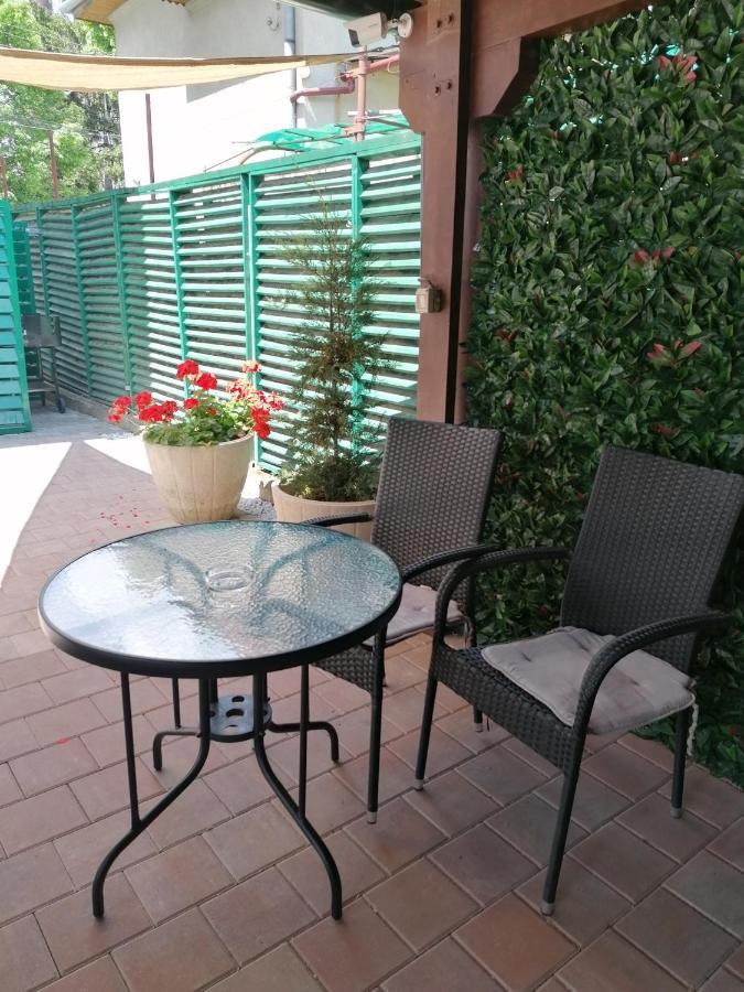 Ana Boutique Bed and Breakfast Alba Iulia Buitenkant foto